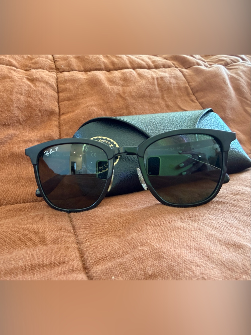 Ray-Ban Black Frame Sunglasses with Dark Lenses